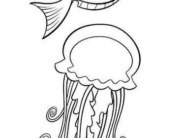 Dori y una medusa