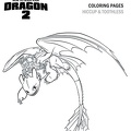 comoentrenar-dragon-19.jpg