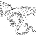 comoentrenar-dragon-39