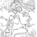 rio-marmoset-dibujalia