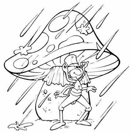 Flip bajo la lluvia